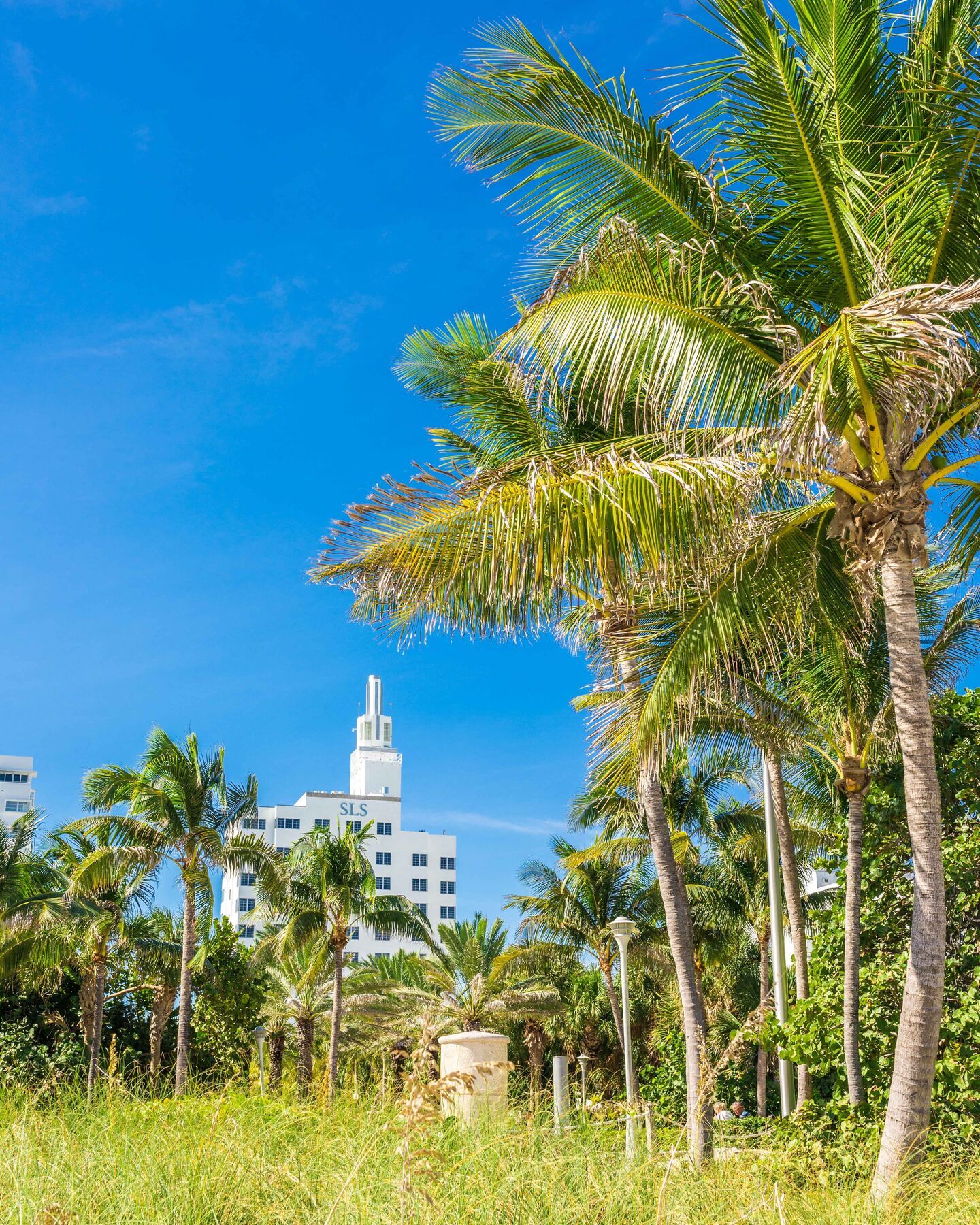 Sls South Beach Hotell Miami Beach Eksteriør bilde